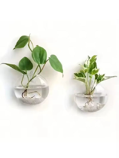 Elevate Your Space with Our Handmade Wall Hanging Glass Terrarium - Self-Watering Hydroponic Planter (Available in 2/4/6 Packs)