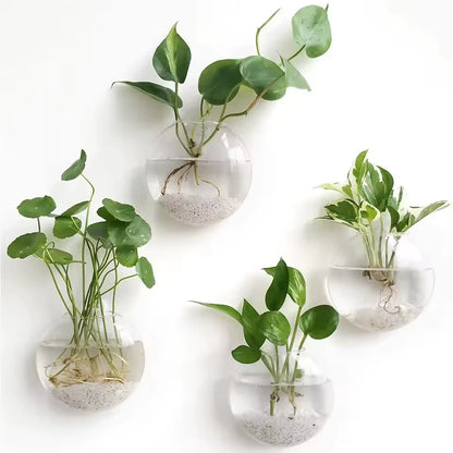 Elevate Your Space with Our Handmade Wall Hanging Glass Terrarium - Self-Watering Hydroponic Planter (Available in 2/4/6 Packs)