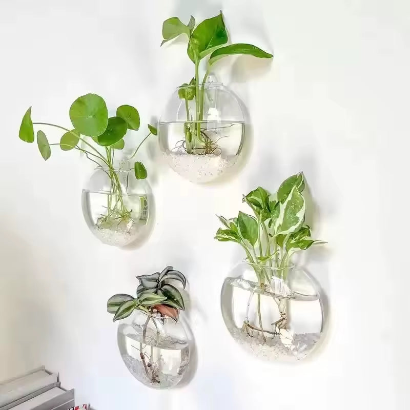 Elevate Your Space with Our Handmade Wall Hanging Glass Terrarium - Self-Watering Hydroponic Planter (Available in 2/4/6 Packs)