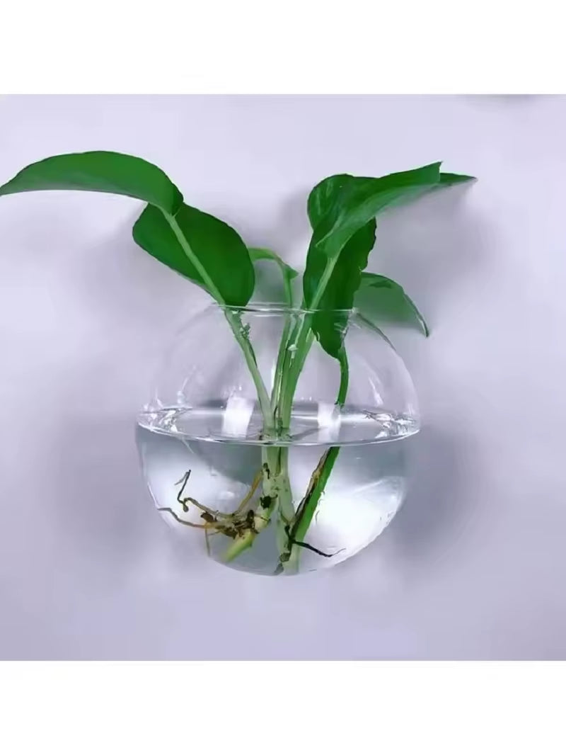 Elevate Your Space with Our Handmade Wall Hanging Glass Terrarium - Self-Watering Hydroponic Planter (Available in 2/4/6 Packs)