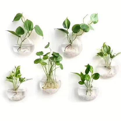 Elevate Your Space with Our Handmade Wall Hanging Glass Terrarium - Self-Watering Hydroponic Planter (Available in 2/4/6 Packs)